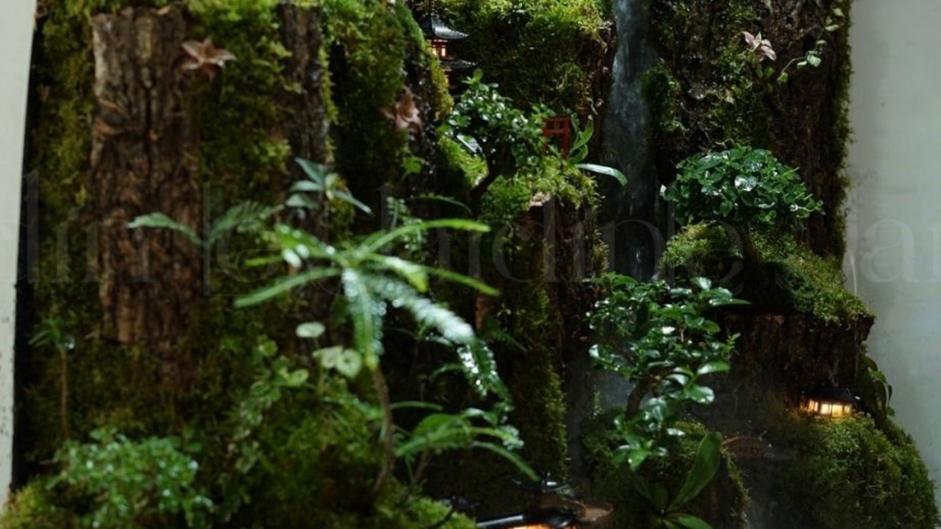 [New Arrivals] “Mưa” Concept – Dự án Hồ Bán Cạn