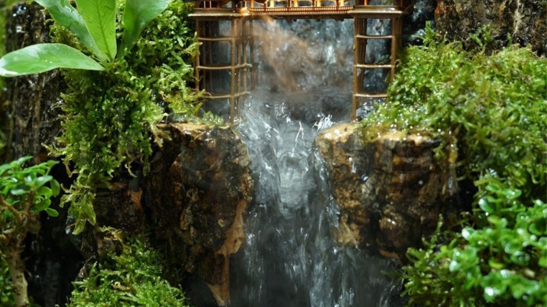 Dự Án " Hồ Bán Cạn " – Concept Rừng Mưa