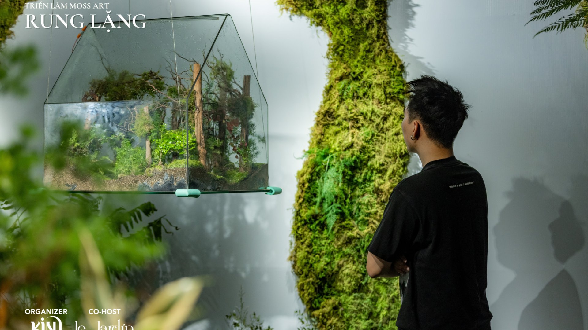Triển Lãm Rêu Xanh – RUNG LẶNG