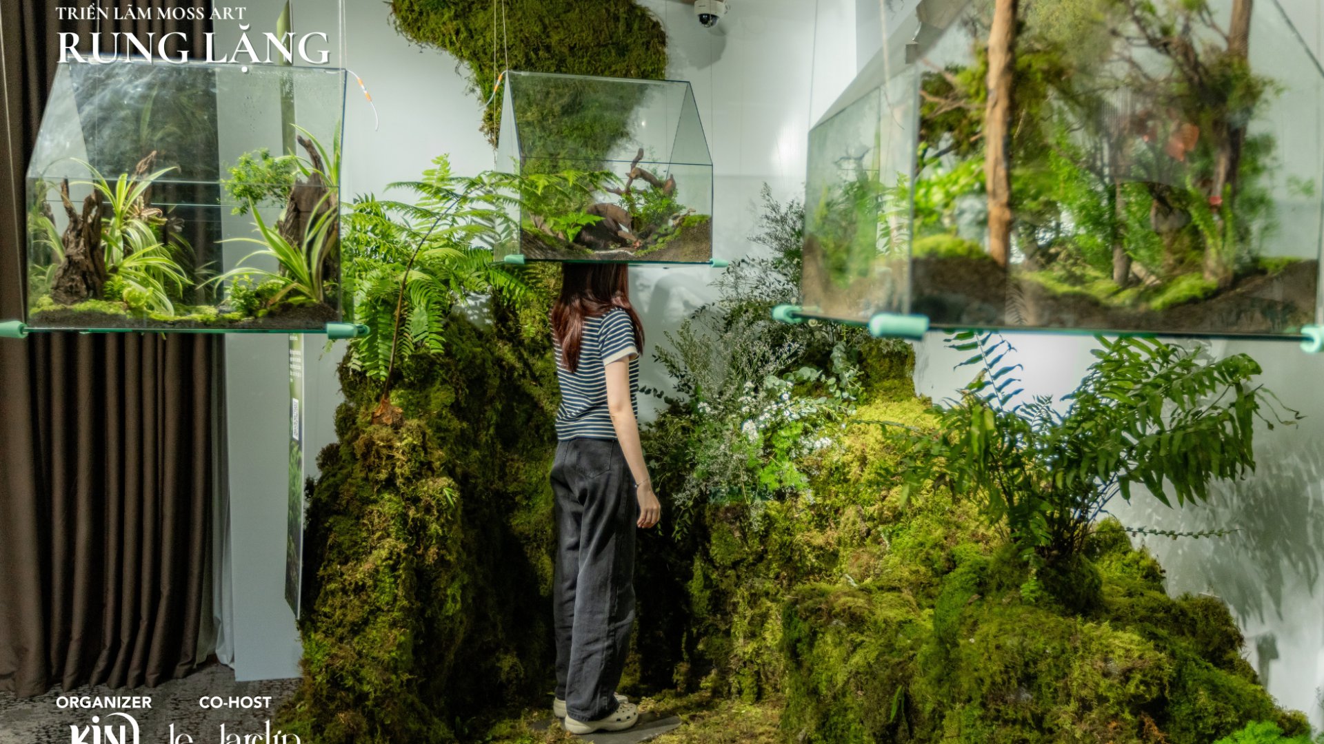 Triển Lãm Rêu Xanh – RUNG LẶNG