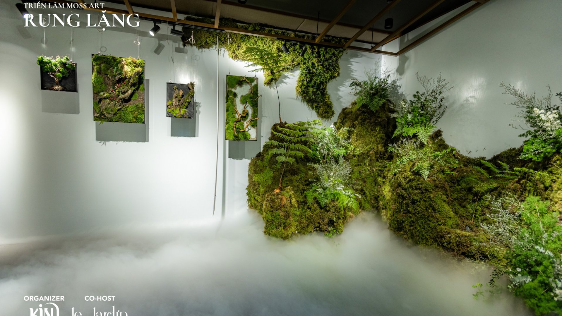 Triển Lãm Rêu Xanh – RUNG LẶNG