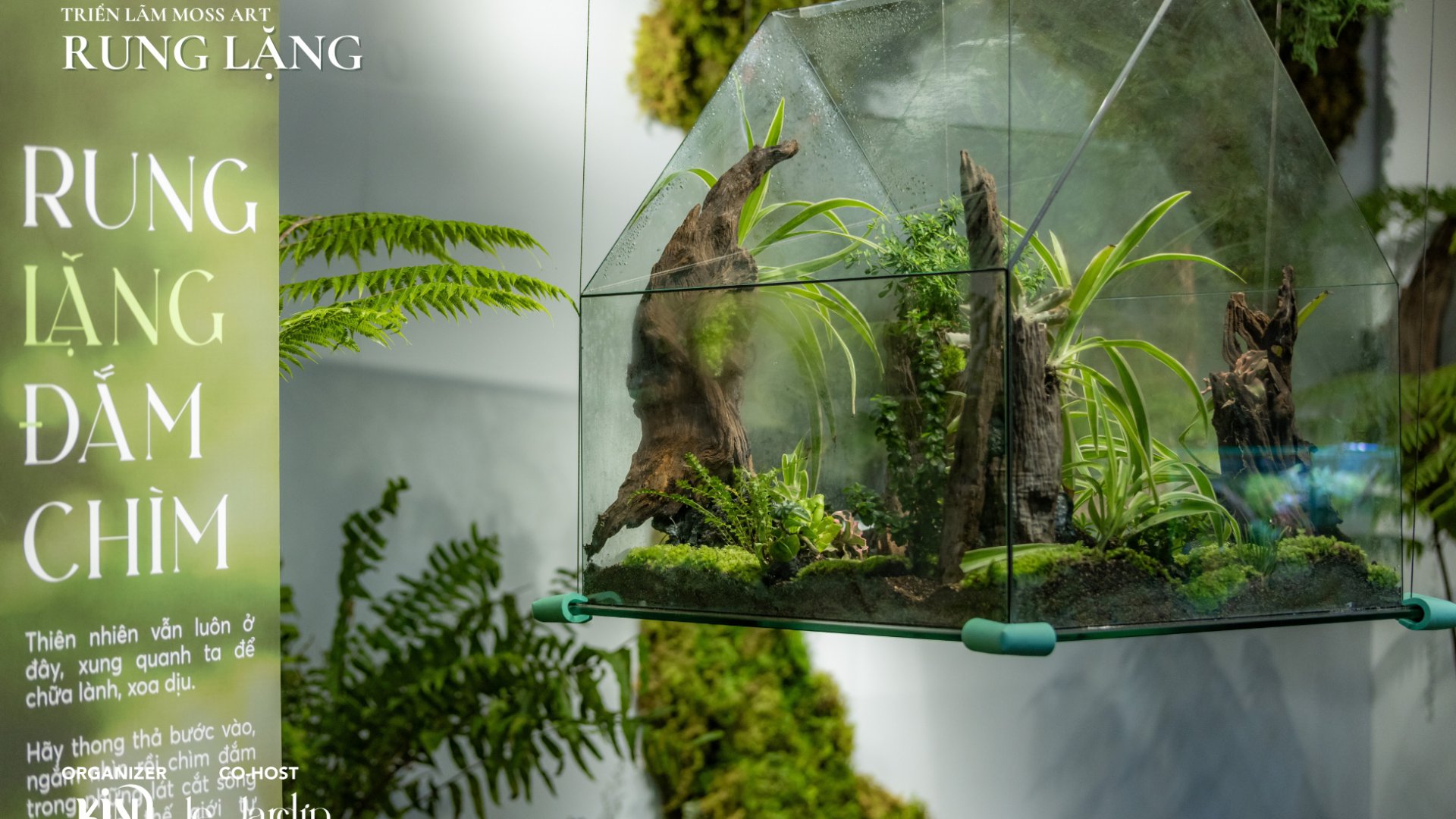 Triển Lãm Rêu Xanh – RUNG LẶNG
