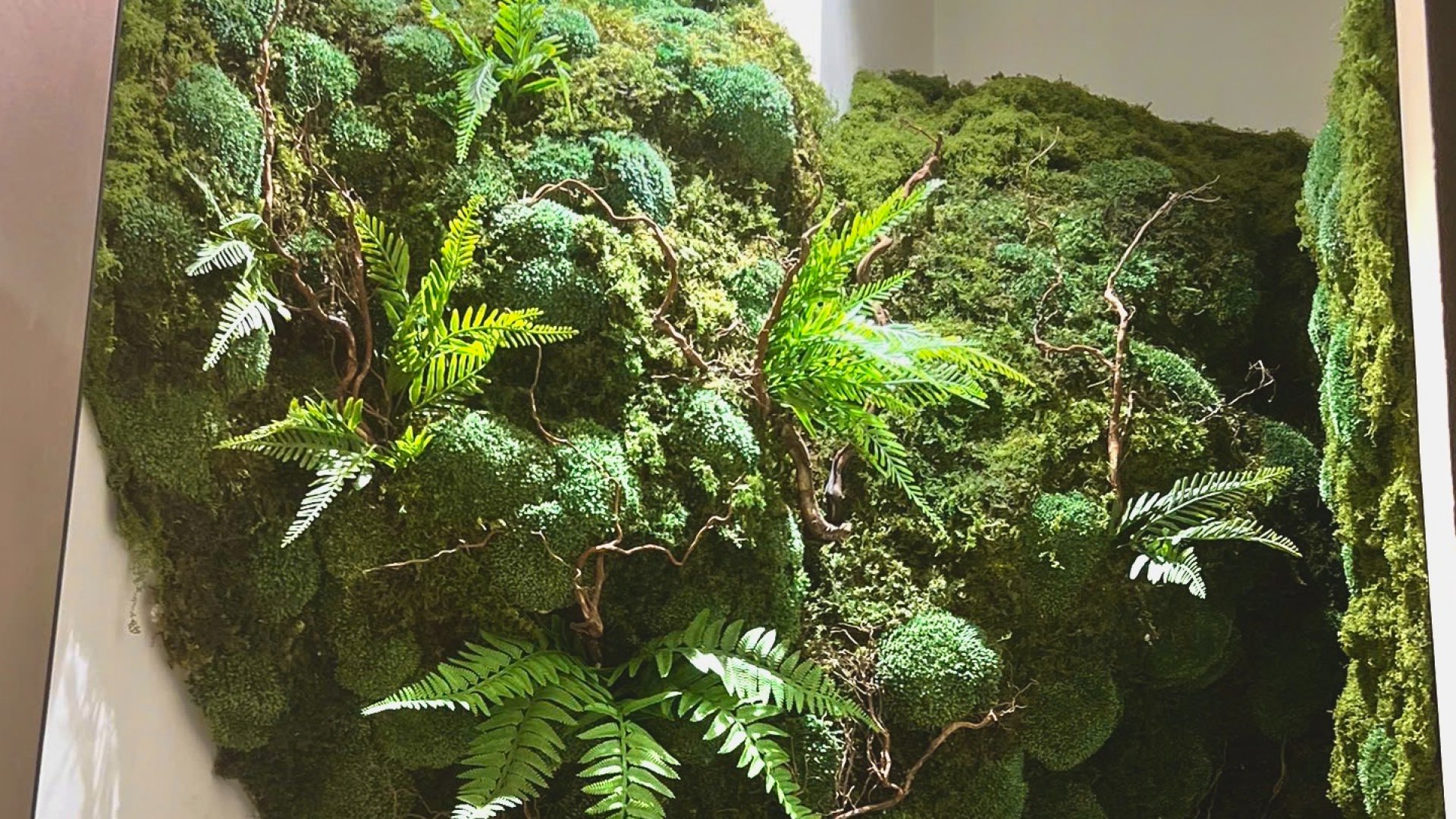 [Project] Thi Công Tường Rêu Bảo Tồn Tại Vũng Tàu