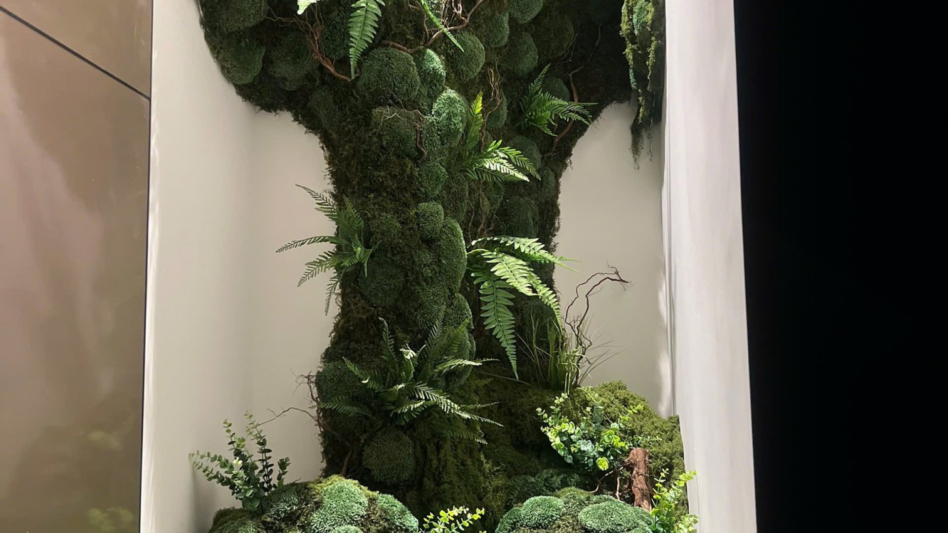 [Project] Thi Công Tường Rêu Bảo Tồn Tại Vũng Tàu