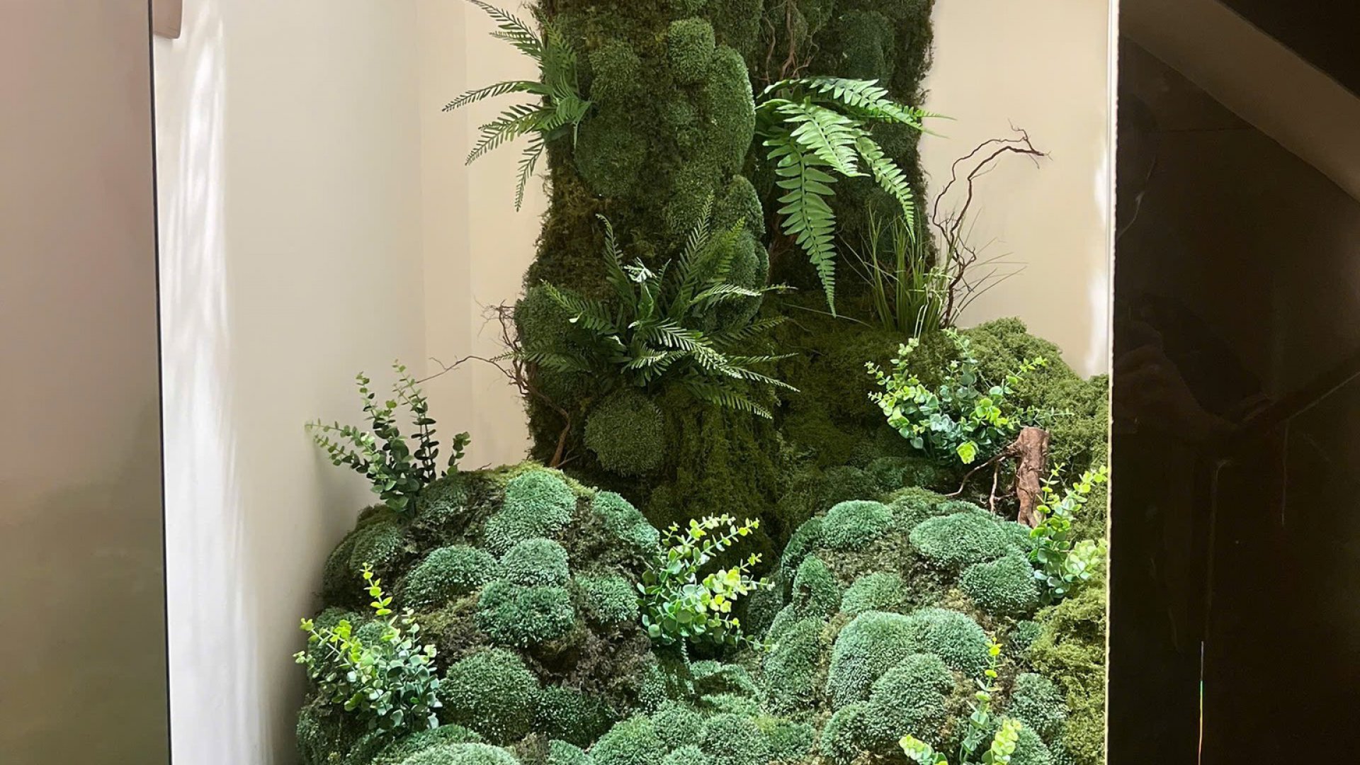 [Project] Thi Công Tường Rêu Bảo Tồn Tại Vũng Tàu