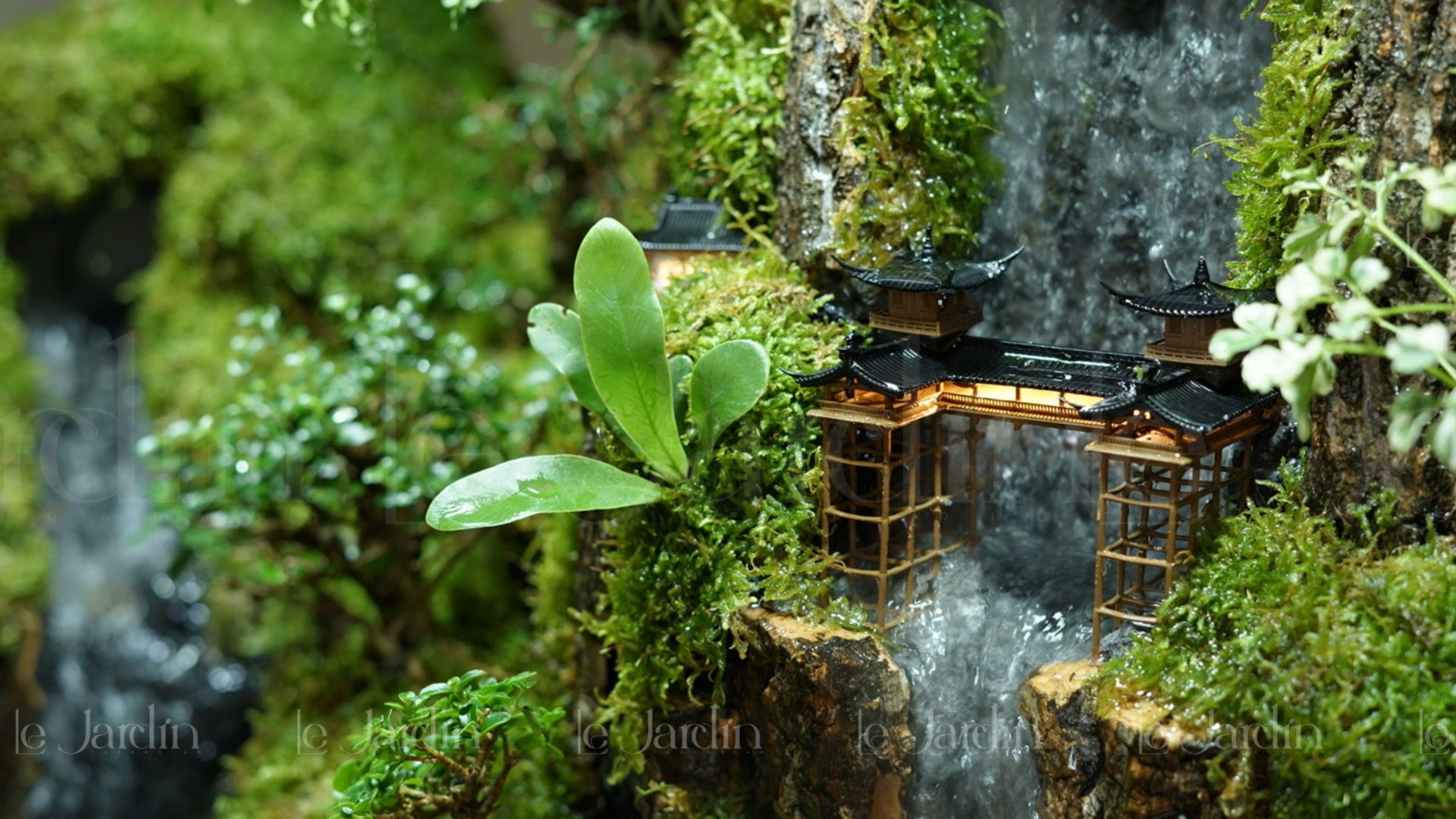 Dự Án " Hồ Bán Cạn " – Concept Rừng Mưa