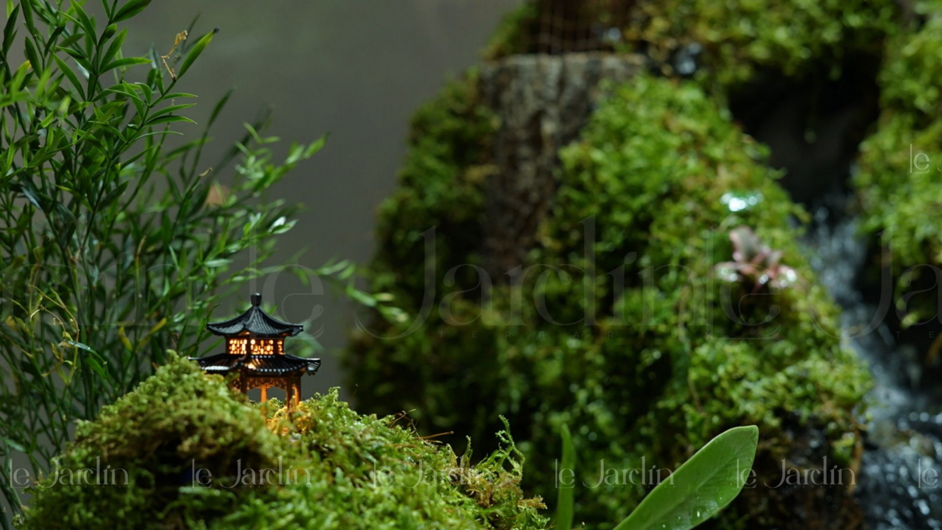 Dự Án " Hồ Bán Cạn " – Concept Rừng Mưa