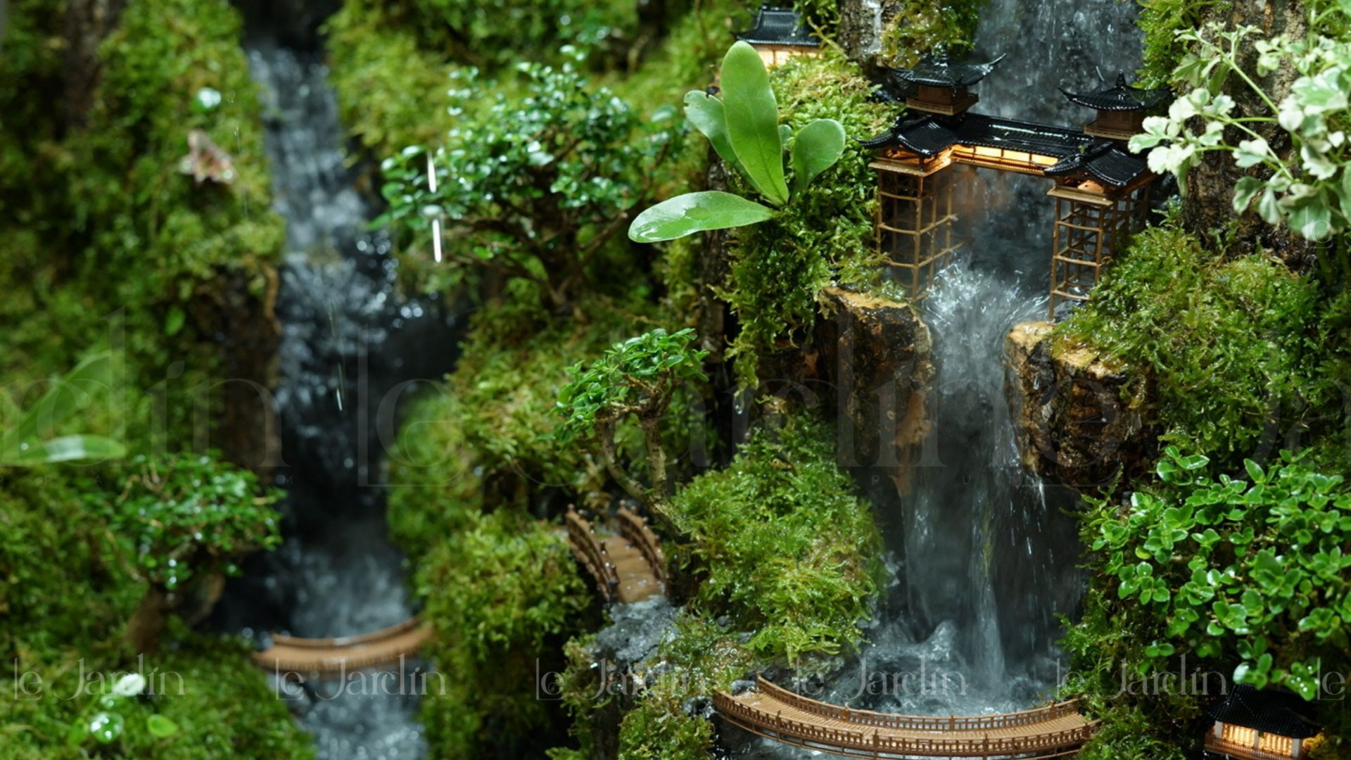 Dự Án " Hồ Bán Cạn " – Concept Rừng Mưa