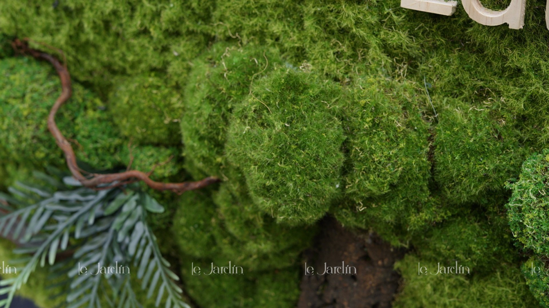 Dòng Rêu Nhân Tạo Thủ Công Mới – Concept “Jungle”