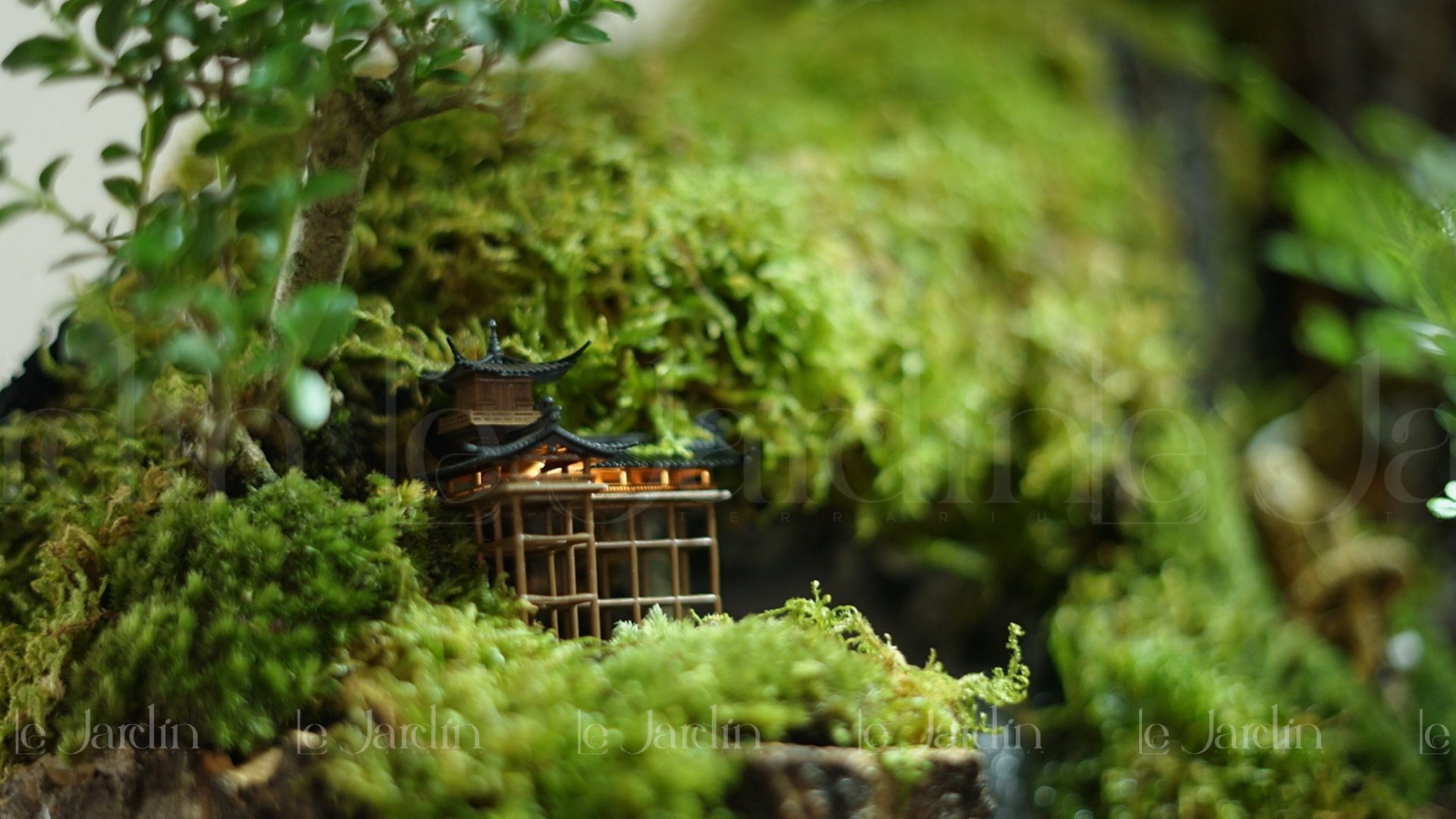 [New Arrivals] “Mưa” Concept – Dự án Hồ Bán Cạn