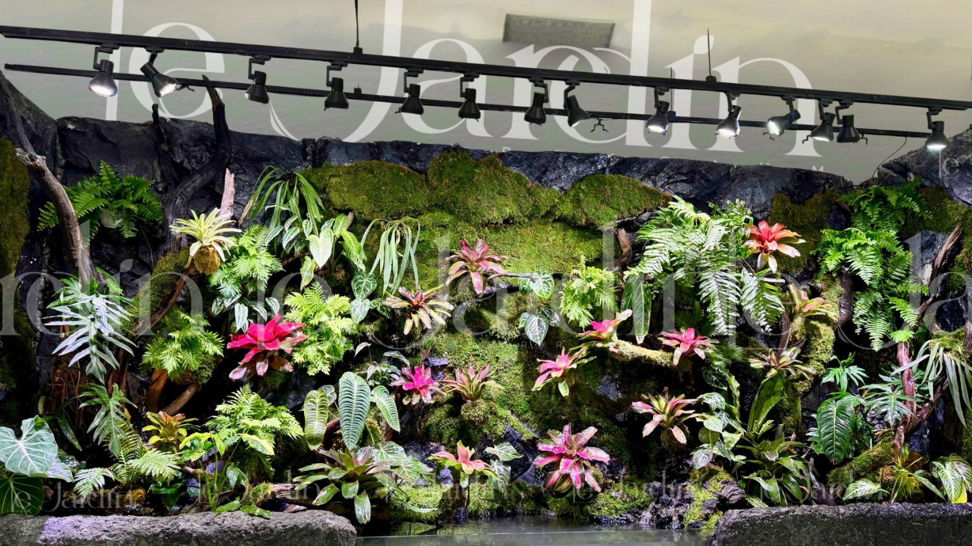 Dự Án Hồ Bán Cạn – Le Jardin