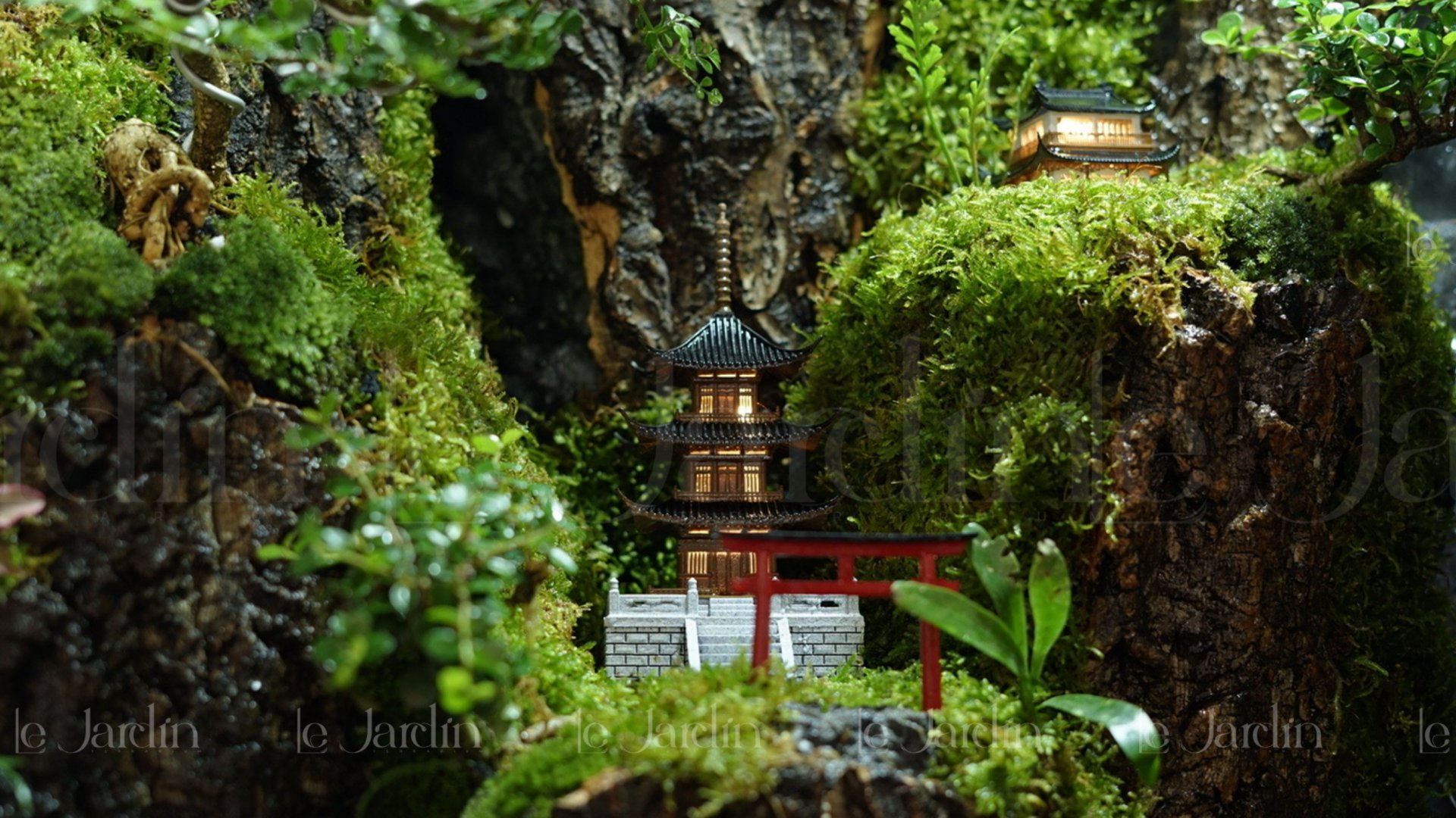 [New Arrivals] “Mưa” Concept – Dự án Hồ Bán Cạn