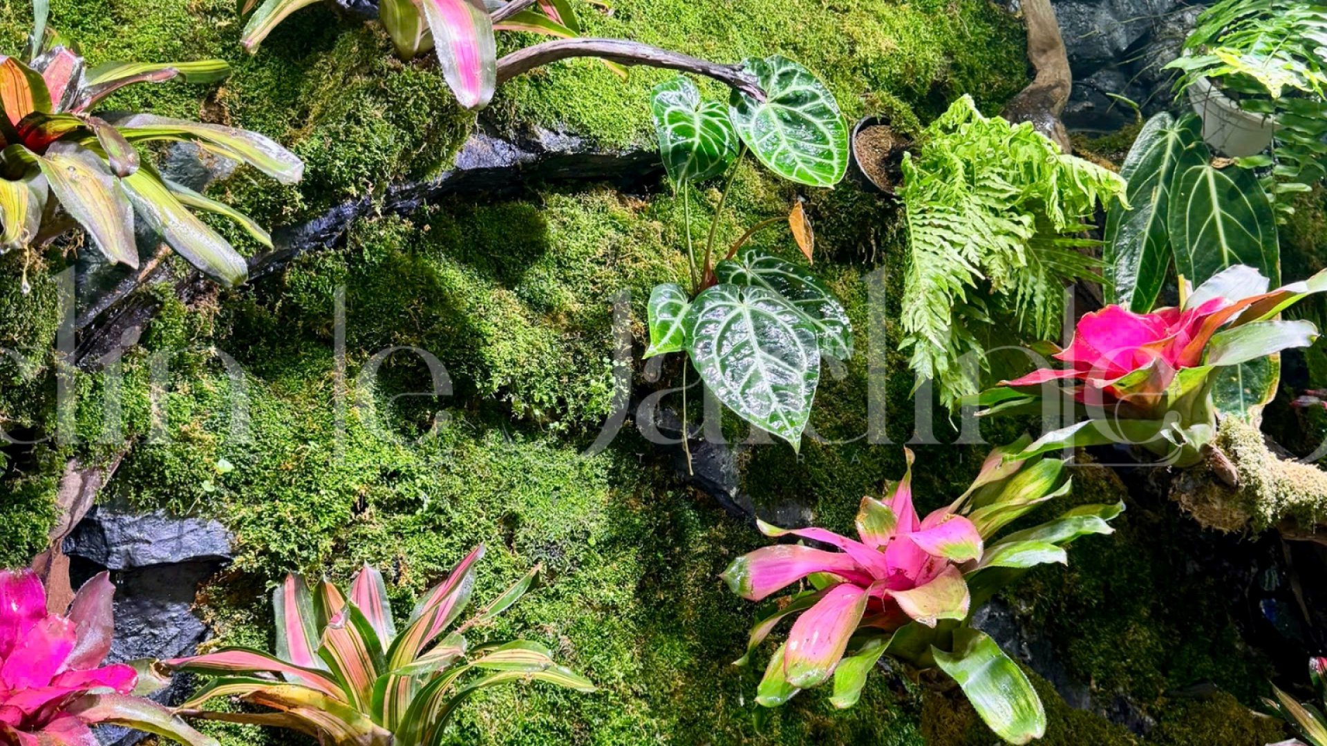 Dự Án Hồ Bán Cạn – Le Jardin