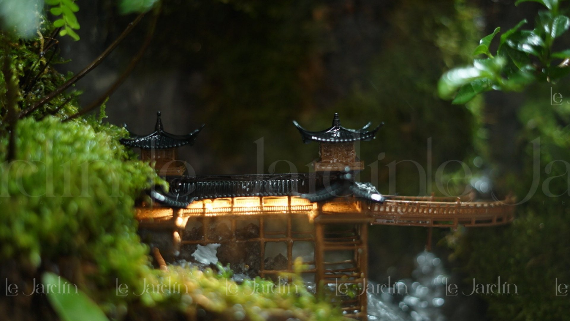 [New Arrivals] “Mưa” Concept – Dự án Hồ Bán Cạn