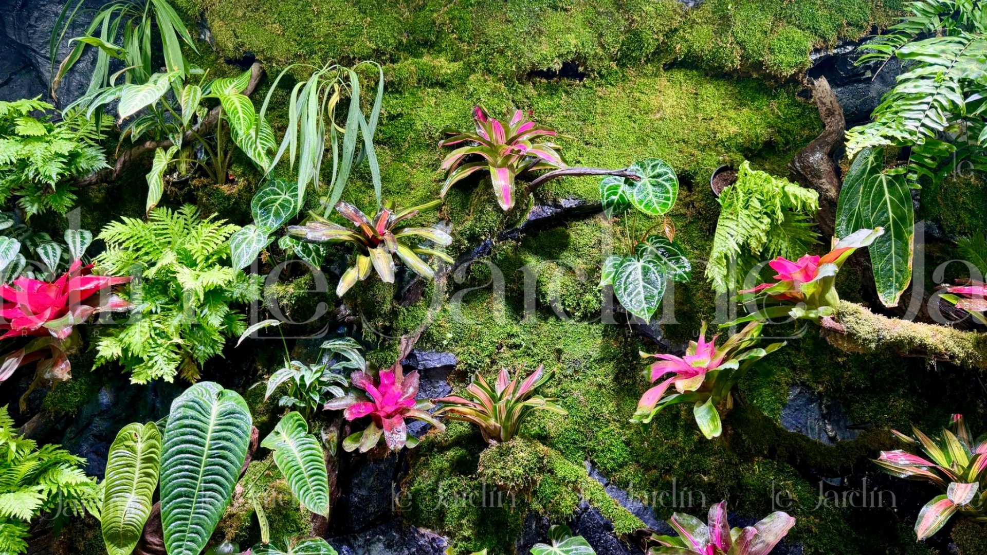 Dự Án Hồ Bán Cạn – Le Jardin