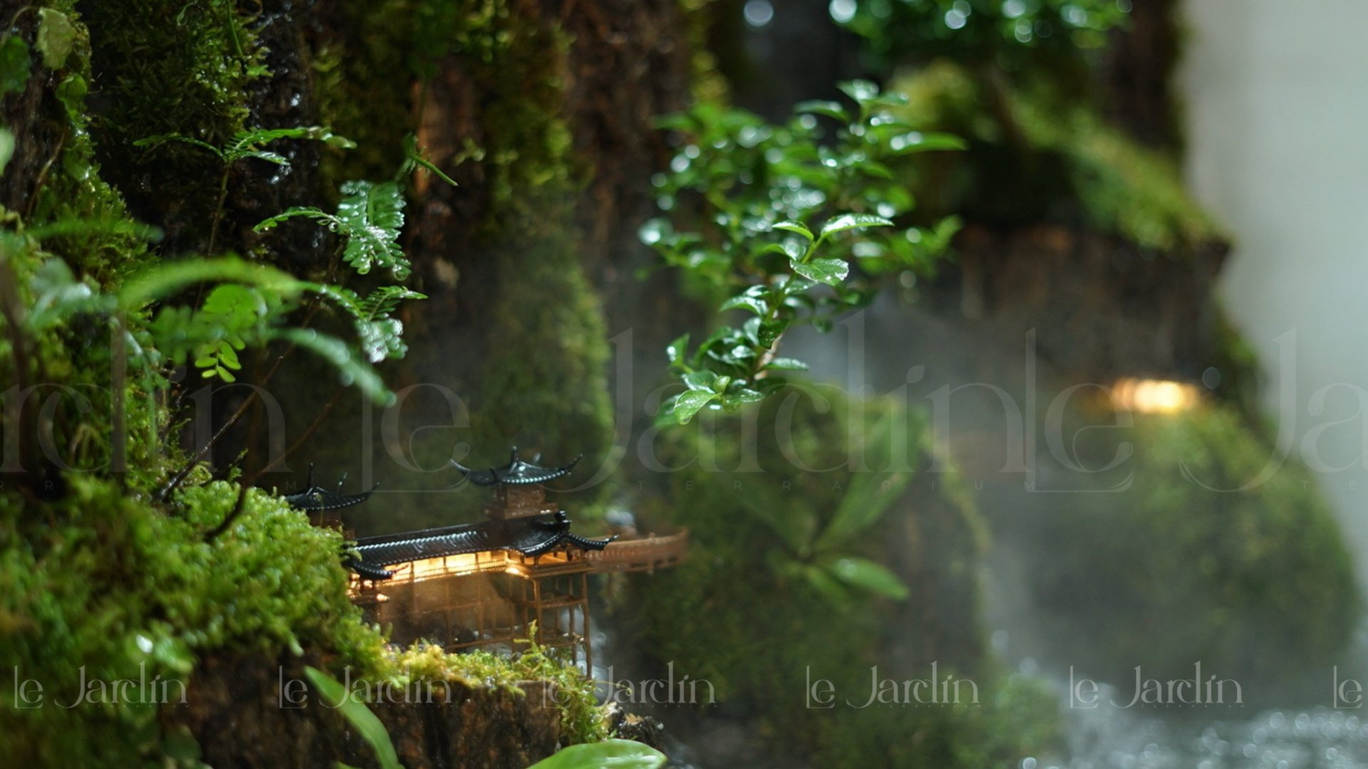 [New Arrivals] “Mưa” Concept – Dự án Hồ Bán Cạn