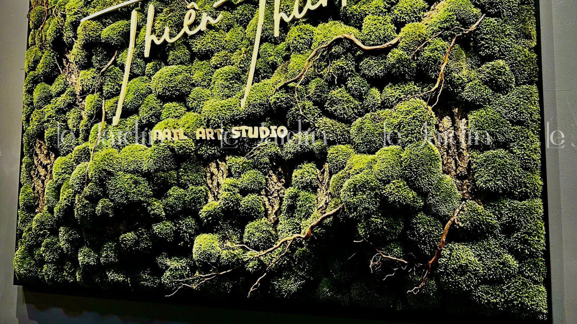 [Moss Art - New Concept] Tranh Rêu Decor