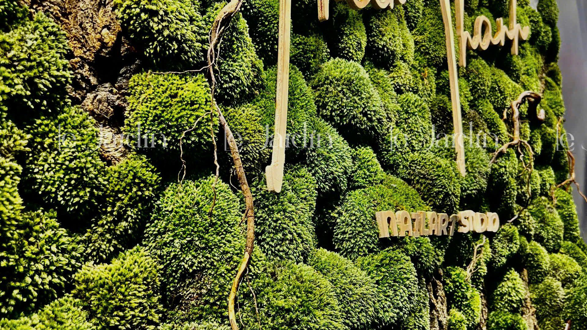 [Moss Art - New Concept] Tranh Rêu Decor