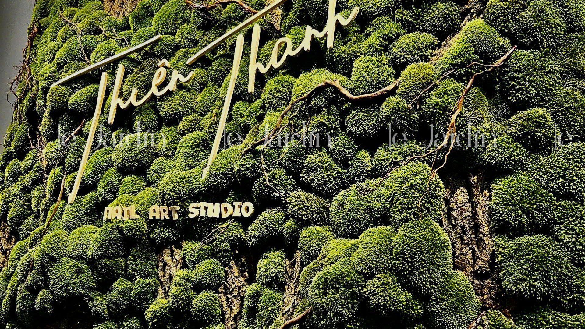 [Moss Art - New Concept] Tranh Rêu Decor