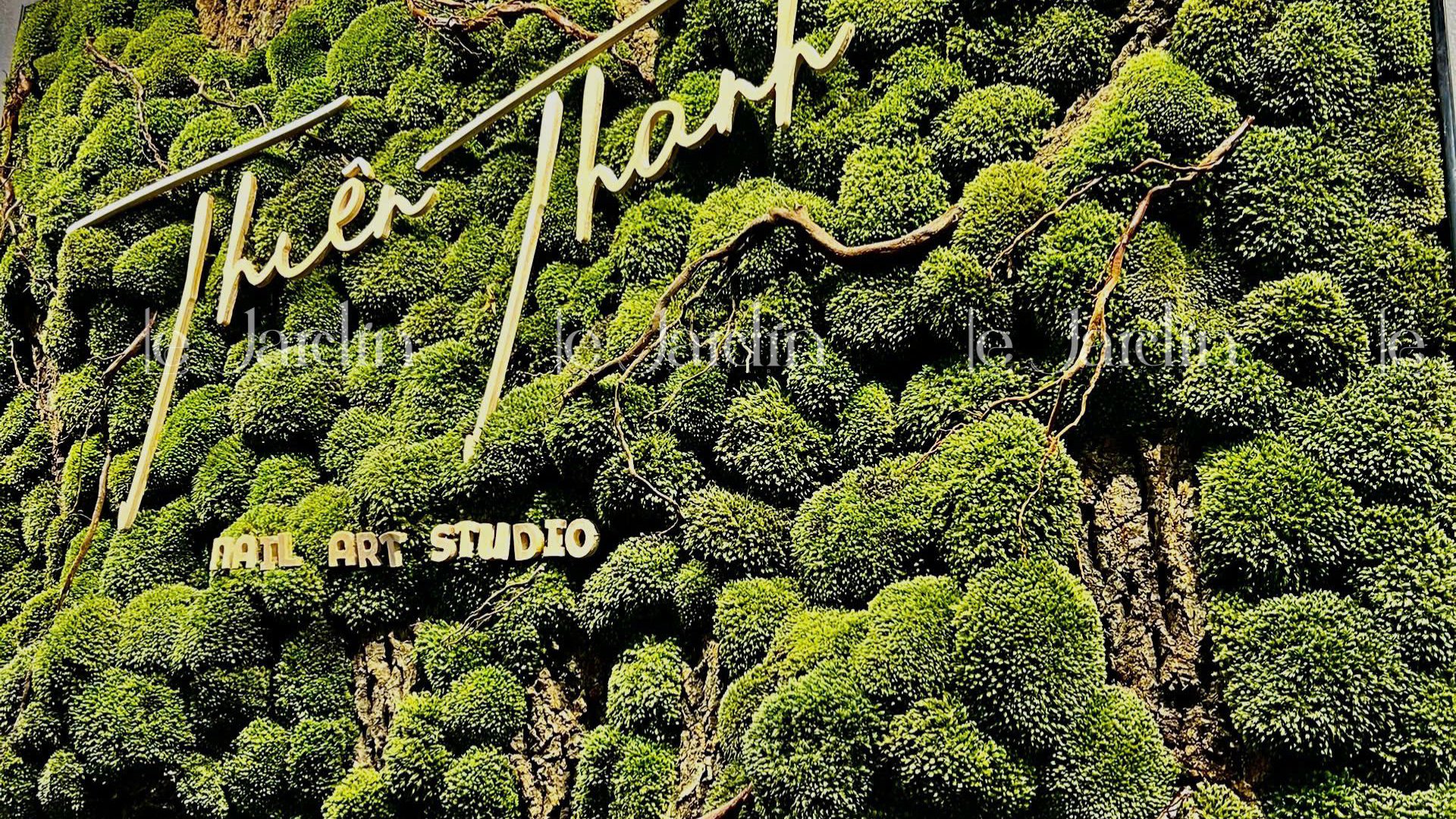 [Moss Art - New Concept] Tranh Rêu Decor