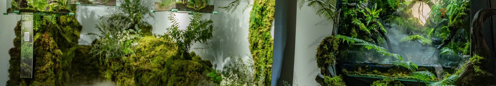 Premium Gift Proposal For Business