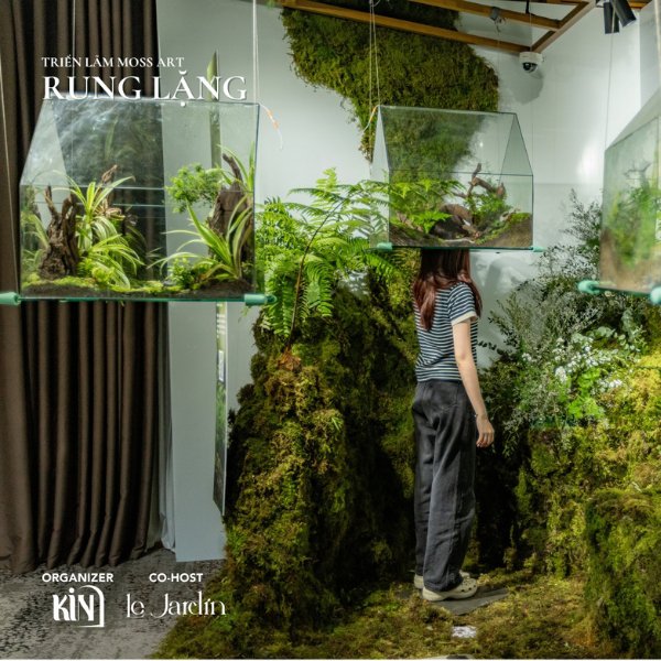 Triển Lãm Rêu Xanh – RUNG LẶNG