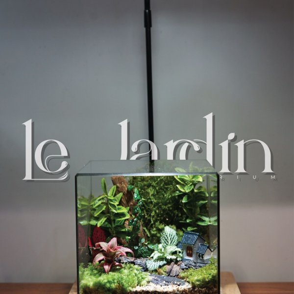 Siêu phẩm của khách