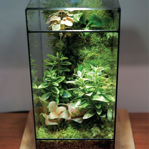 Terrarium Workshop