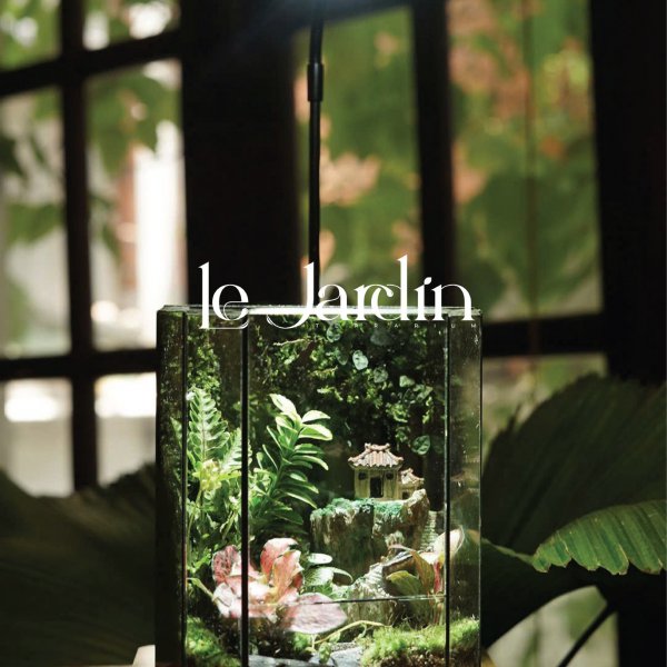 Terrarium Của Khách