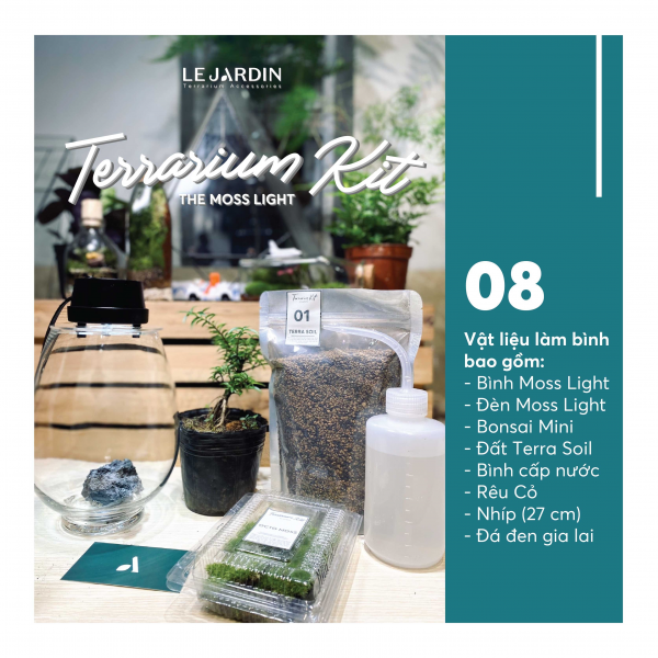 Combo DIY Terrarium - 8 món - Series The Mosslight (Có Thêm Bonsai)