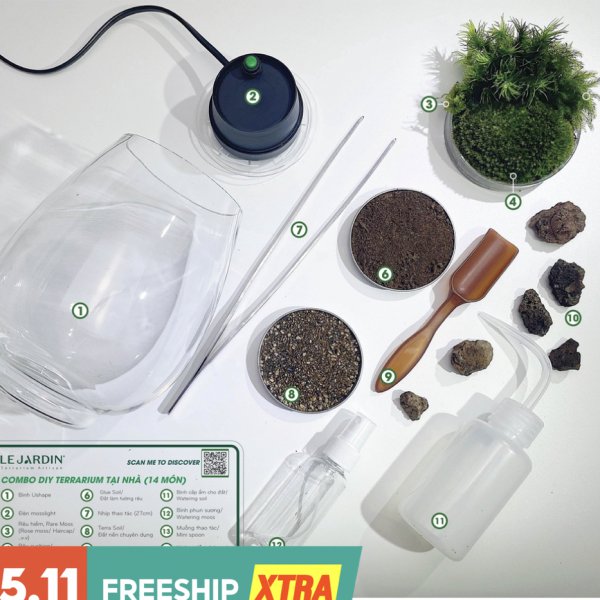 Combo DIY - The Mosslight (16 món)