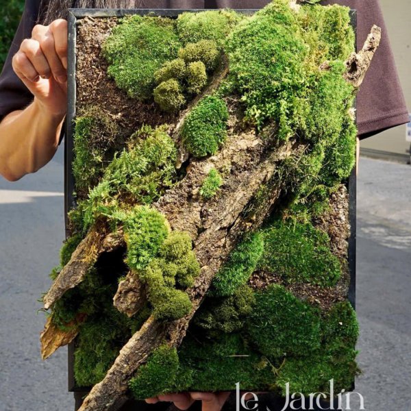 Series Forest Terrain Edition - Size 30x40