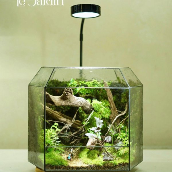 Series - MAGIQUE - Concept Stone House