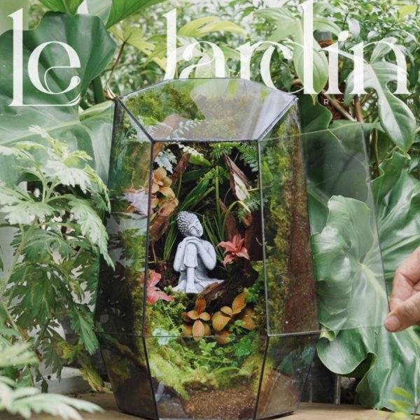 Series - SECRET OF JUNGLE - Tự tại