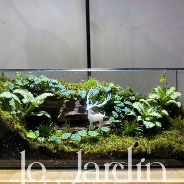 Series - The Babylon 05 - THE REAL AURA