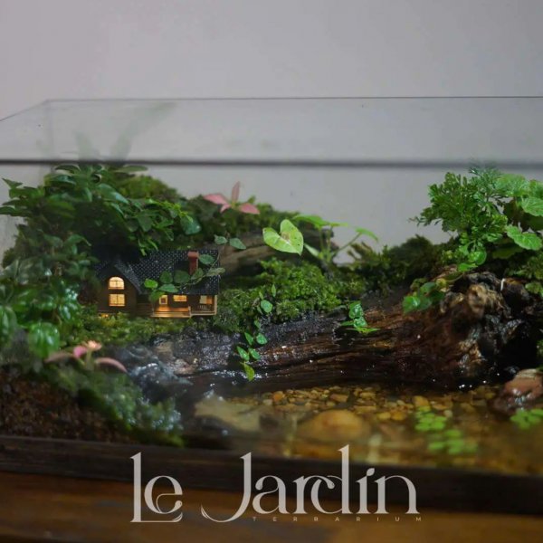 Series - The BABYLON 06 - ETERNAL GROVE