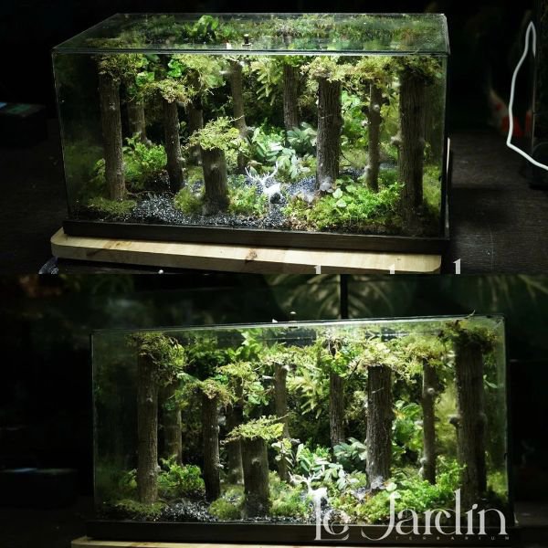 Series - The BABYLON 06 - THE QUIET GROVE