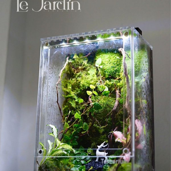 Series - THE CINEMOSS MINI - Concept Rừng Mini