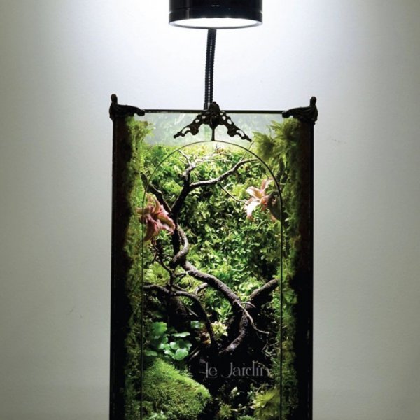 Series - THE CRYSTAL PALACE - Concept Rừng Xuân