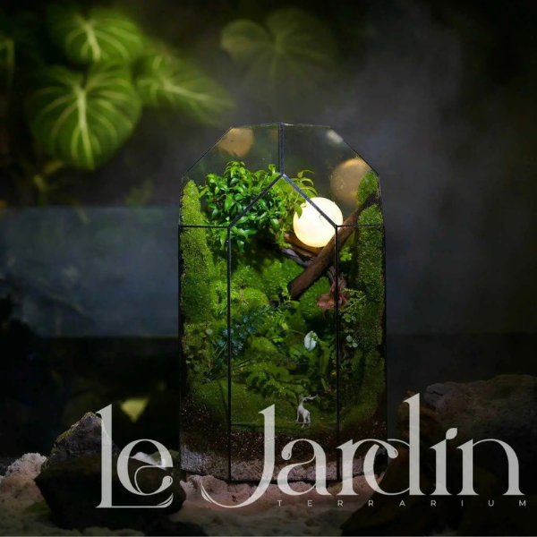 Series - THE IKIGAI - TSUKIKAGE