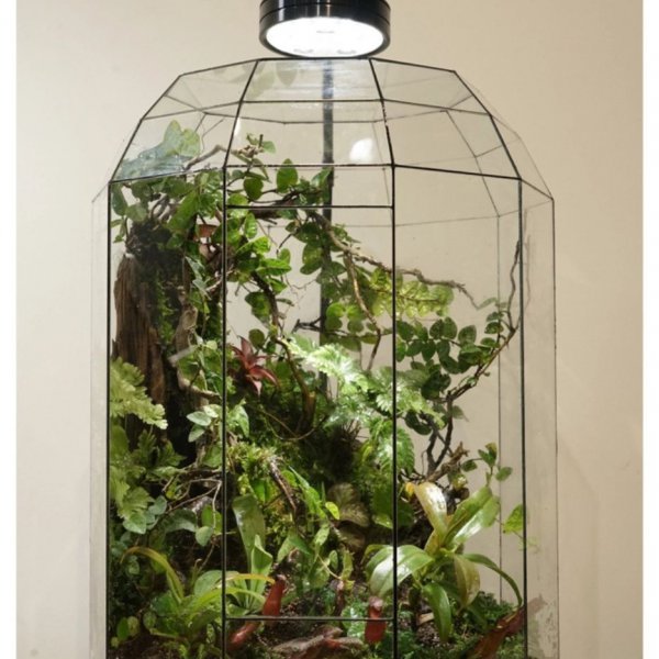 Series - THE JURASSIC - Concept Lạc