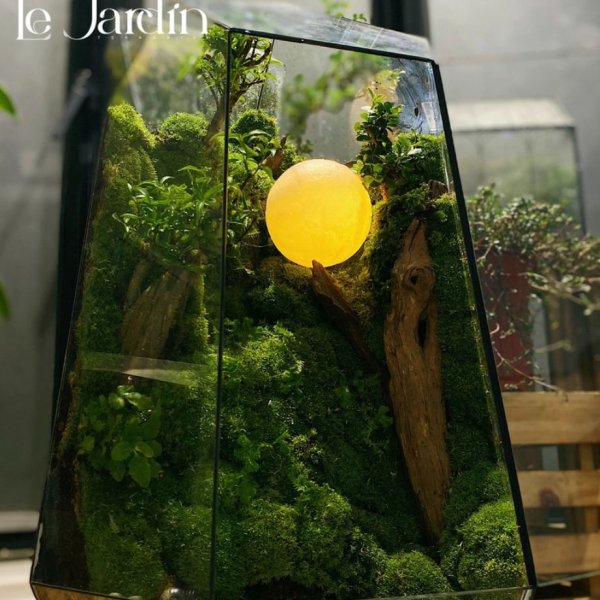 Series - THE LE PETIT MONDE - THE DEEP NIGHT 1