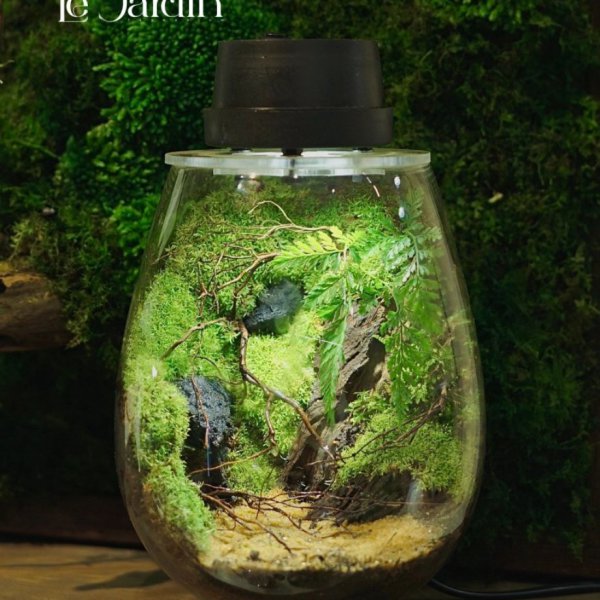 Series - THE MOSSLIGHT