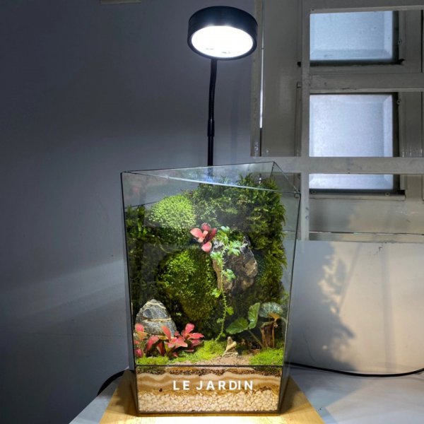 Series - THE MOSSWALL - Concept Tường Xuân