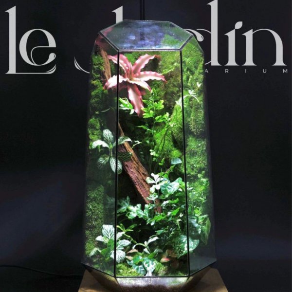 Series - THE RUBY TOWER - T41