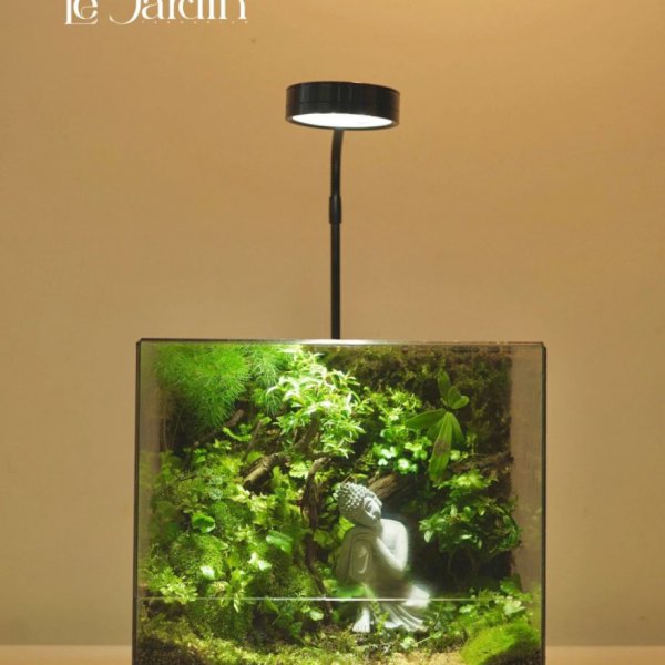 Series - THE VIVARIUM - Concept Ẩn Cư