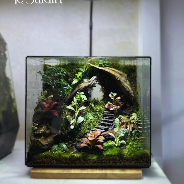 THE VIVARIUM - Size 25 x 15 x 22 (cm)