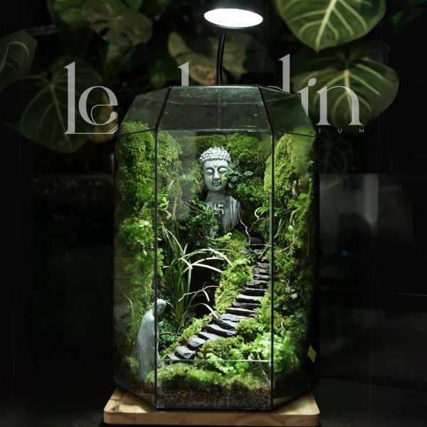 Series - THIỀN SƯ - TĂNG NHÂN BÁI PHẬT