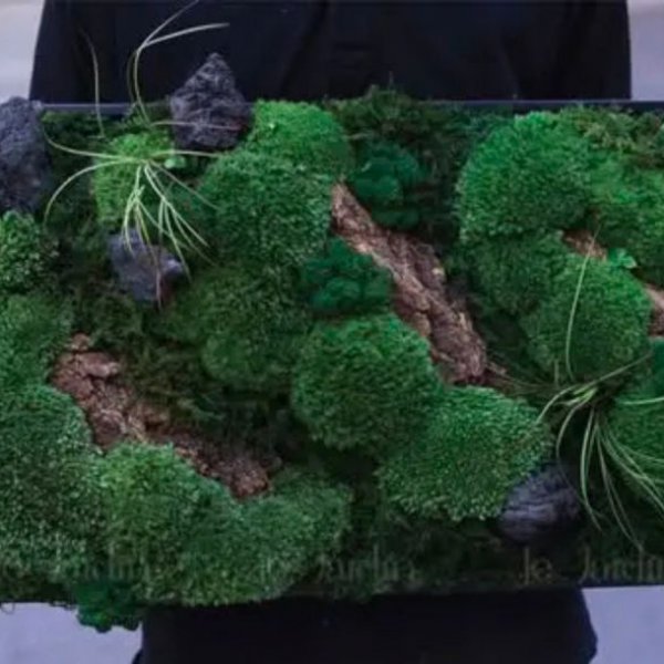 Series VẺ ĐẸP THIÊN NHIÊN - 40X80CM