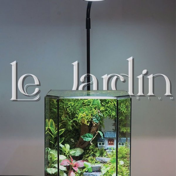 ZEN GARDEN MINI - Mẫu 3 - Size 12 x 6 x 16 (cm)